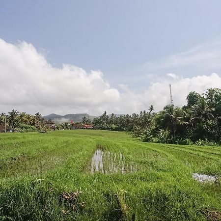 Mejan Home Stay Balian Exteriér fotografie