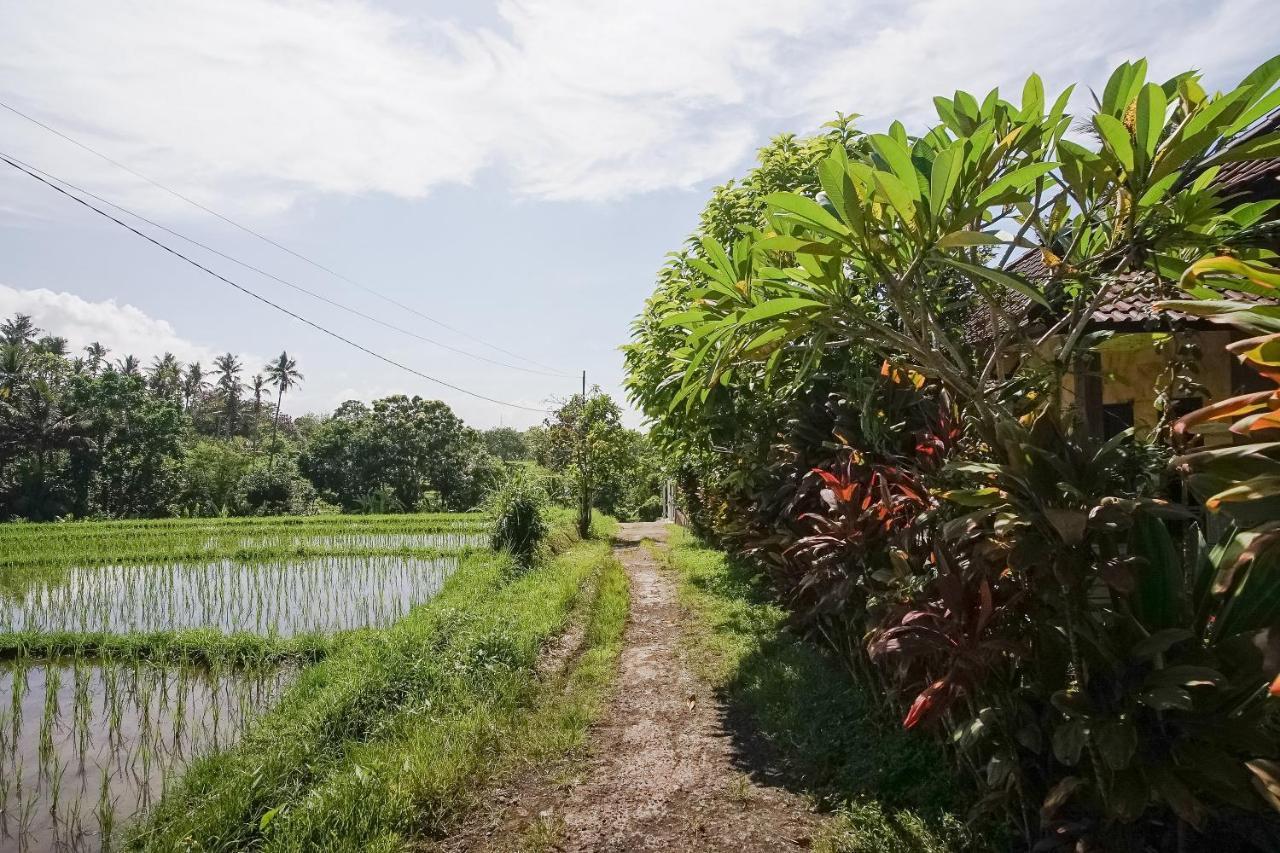 Mejan Home Stay Balian Exteriér fotografie